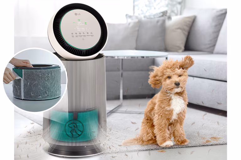 Better air. Less pet hair