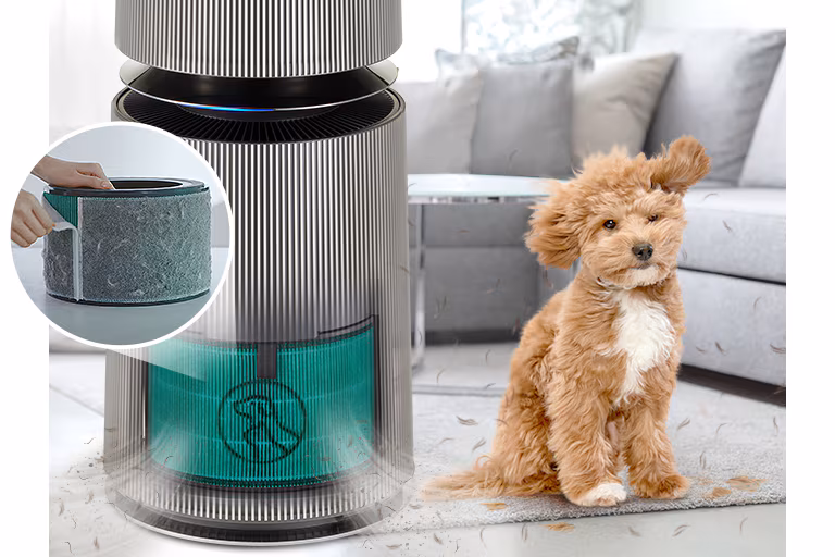 Better air. Less pet hair
